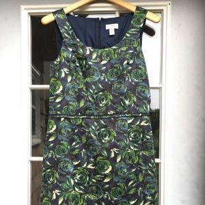 Ann Taylor LOFT Rose / Floral Dress - sz 8 & sz 10